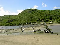 St Barts Salt Pond